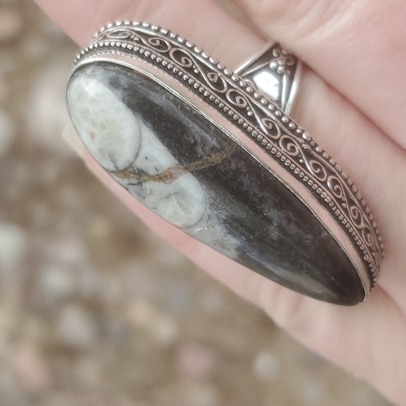 New Oversized Orthoceras Fossil Antique Design 925 Silver Statement Ring. - Picture 10 of 11